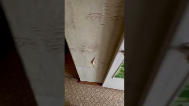 Экспресс обзор двухкомнатной квартиры на Северо Западе смотреть онлайн