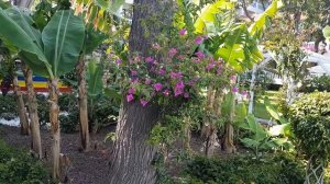 Utopia Beach Club . от пляжа до номера путь.