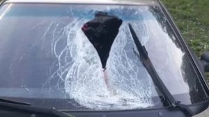 За автоубийство куском тормоза в голову никто не сядет