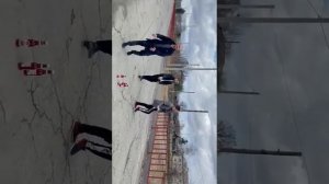 нилетто поезда