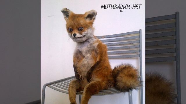 Мотивации нет