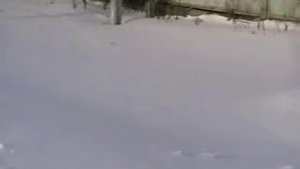 Карбуш, Карбуш ........