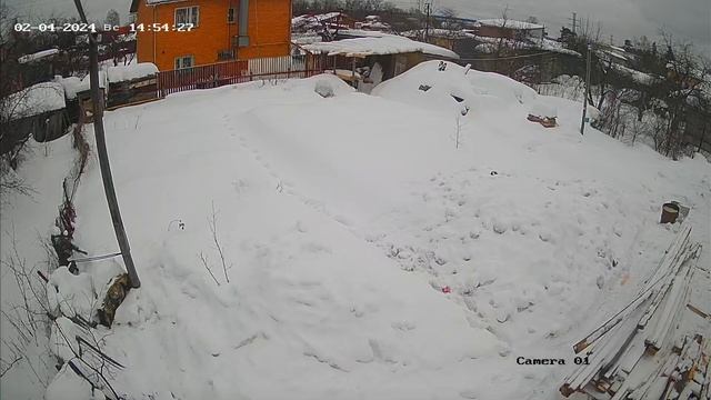 кошка или кот в гостях 2 смотреть онлайн