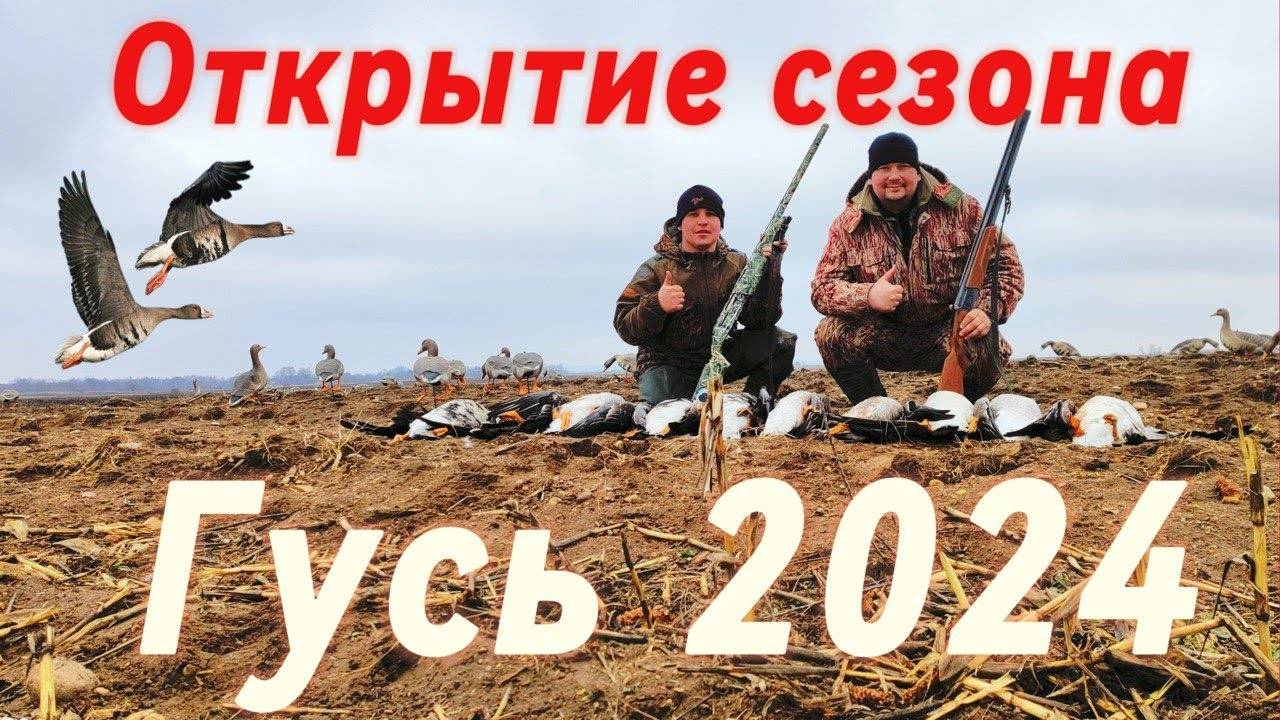 Открытие охоты на гуся 2024. Охота на гуся в Беларуси. 16/18.03.2024 Goose hunting смотреть онлайн