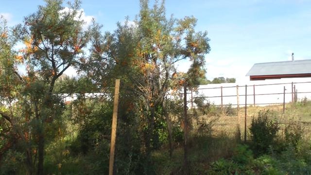 Продаю дуплекс в Киржачском районе. смотреть онлайн