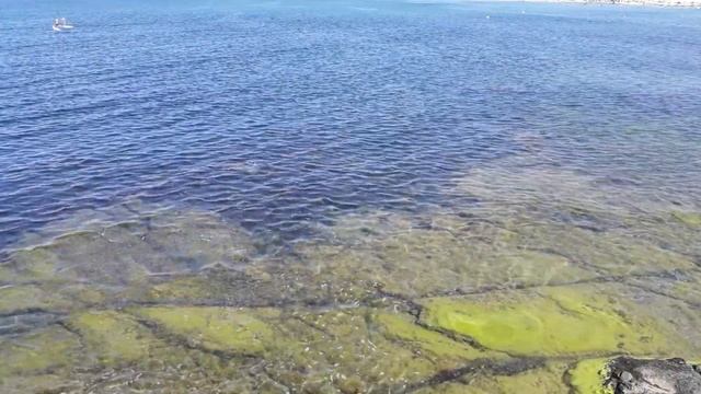 Beach Trip In Tsarevo - Primea Beach 2019 смотреть онлайн