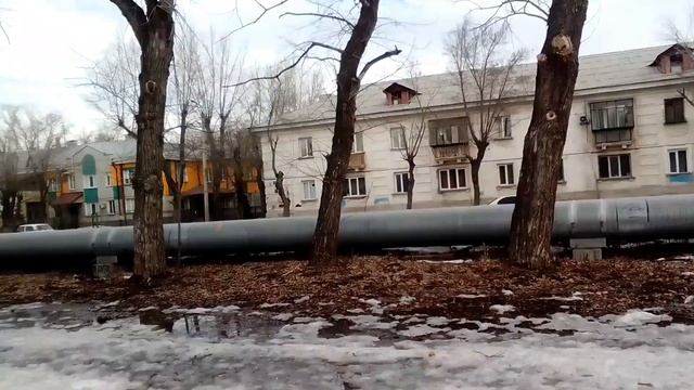 Программа про Челябинск 5(Часть 15 про Красочный лес Челябинска!) смотреть онлайн