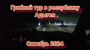 Грибной тур в республику Адыгея. Октябрь 2024