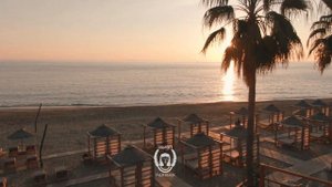 İllusion Palm Beach