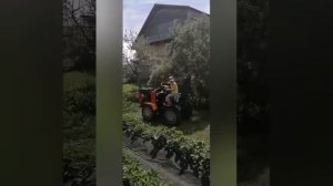 Артём и Тимати впереди копы