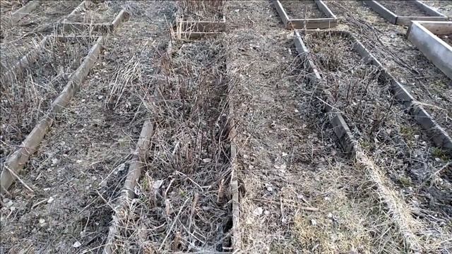 Урожайный Огород | Почва Обработка