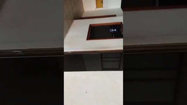 Local en alquiler alta vista смотреть онлайн