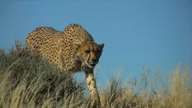 Own it 1 Start_it_7_1 смотреть онлайн