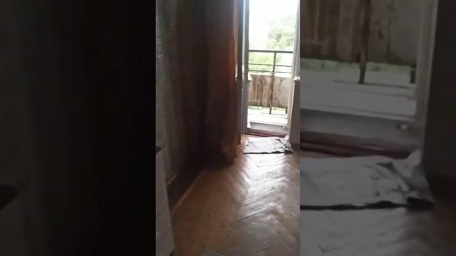 Новоизмайловский 85 смотреть онлайн