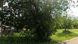 Кто это? - банкир ошалело смотрел на свою маленькую копию в приемной… А увидев необычное послание…