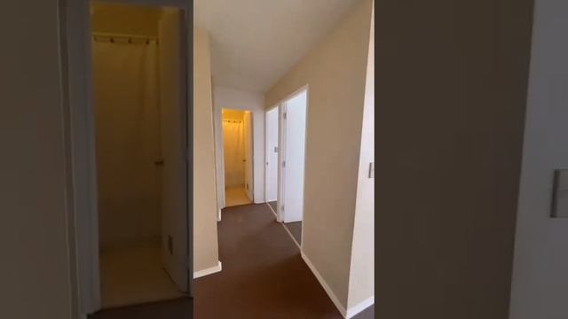 WhatsApp Video 2022 11 09 at 8 46 48 PM 2 смотреть онлайн