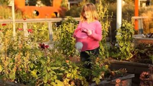 Clubs and teams_Australia_beehive3-culture-video-unit-1