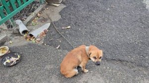 Хозяйничаем у родителей/Учу городского мужа к сельской жизни/ Чем мы питаемся?!?