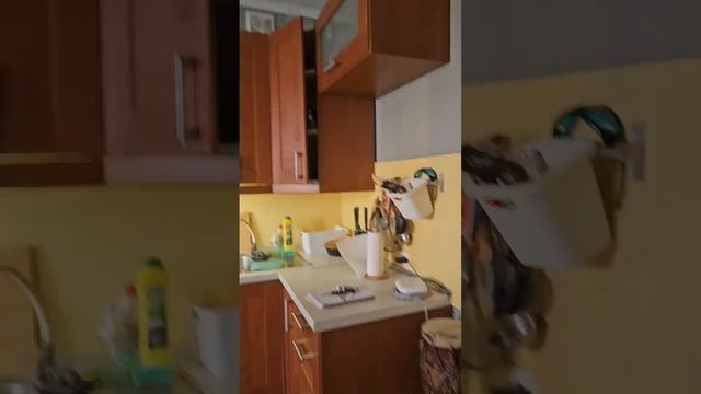 квартира правый берег