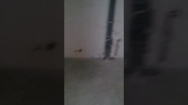 VID 20180412 171736 смотреть онлайн