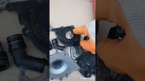 Запах газа из дефлекторов панели. Ремонт ГБО, замена ремкомплекта в редукторе TOMASETTO AT09 Nordic