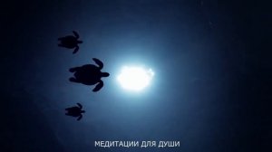 Аффирмации на спокойствие и исцеление нервной системы. Избавление от тревоги и негативных программ.