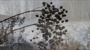 Варган слушать 10 минут | Зимняя сказка. Шаманская музыка