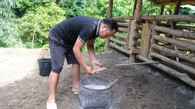 7 Years Living Off-Grid, Growing bananas, harvesting bananas and how to preserve them for long time смотреть онлайн