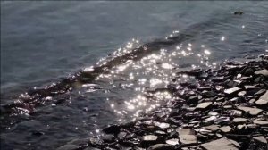 Солнечные речные блики. Волшебная атмосфера сибирской реки