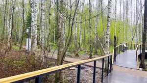 Давай, неси ключи от квартиры, которую ты купила своим родителям. В ней будет жить моя мать.
