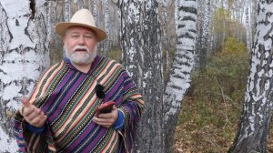 Лунный транс и солнечный экстаз