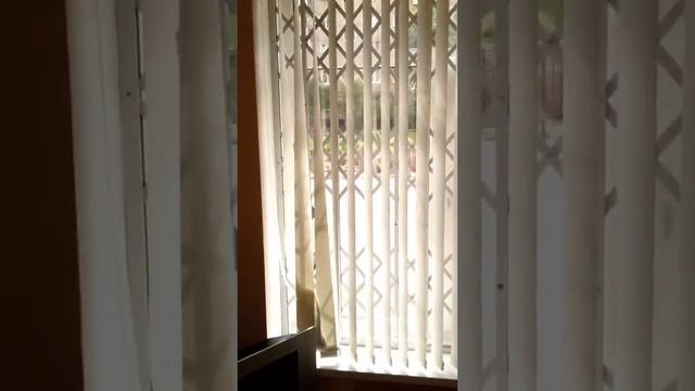 Номер гостиницы в Перми
