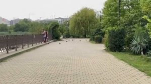 Обзор востребованного района города Краснодара! Черёмушки, ХБК, Дубинка!