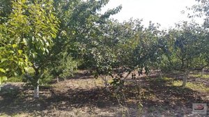 #4 Шикарный, дом 144 м2/село Молдаванское, Крымского района , Краснодарского края./долина Лефкадия.
