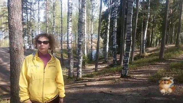 Советы| Советы продавцам| Недвижимость Петербурга