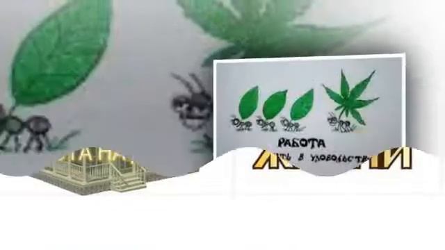 ojooo заработок без вложений смотреть онлайн