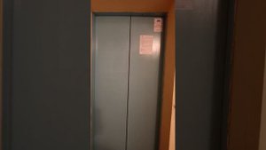 Калининградская область Светлогорск ул.Яблоневая 7