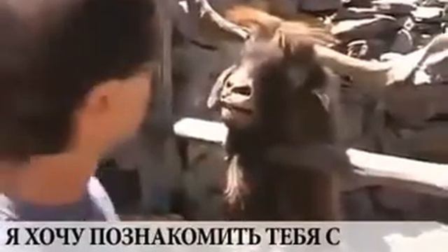 Осторожно по ту сторону забора скептик и писимист ...!!!