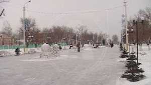 Двое напали на дом предпринимателя в Аулиекольском районе