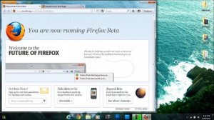 ❖ Download Mozilla FireFox 8.0 ❖