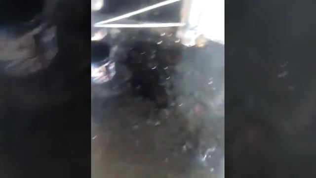 66 Отделка квартир с нуля в Солнечногорском районе. Устройство гидроизоляции мокрых зон.