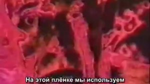 Тимоти Лири  - Как управлять вашим мозгом