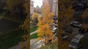 СПб, Доблести 28к2