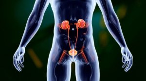 ПРОФИЛАКТИКА И ЛЕЧЕНИЕ МОЧЕВОГО ПУЗЫРЯ СКРЫТЫЕ АФФИРМАЦИИ НАСТРОЙ СЫТИНА