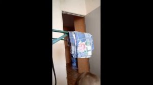 Тренировки для спортсменов с ПОДА