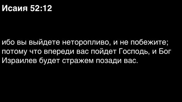 День 200. Библия за год. Библейский ультрамарафон портала «Иисус»