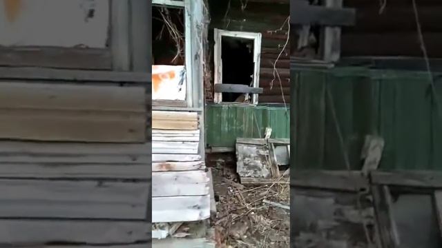 химки смотреть онлайн