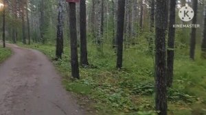 👍🔥Усилил друга на йоге! Записал итоги встречи кино клуба! Собрал кубик Рубика! Друзья и инвестора!