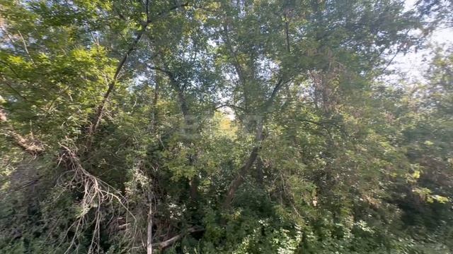 11263877 смотреть онлайн