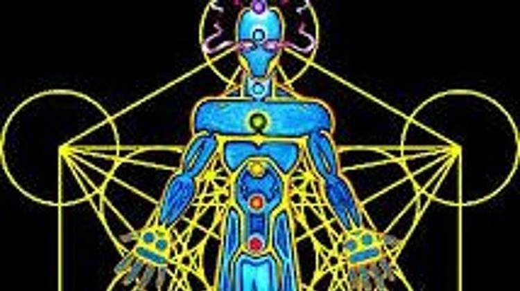 27/10/2024 Индивидуальная сессия Распакетировка новых программ 4D